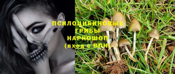 spice Алзамай