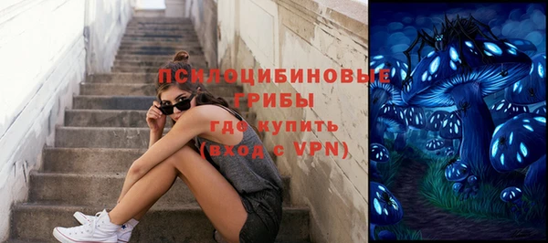spice Алзамай
