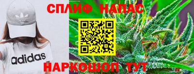МДПВ Кунгур