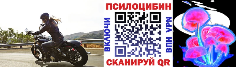 Галлюциногенные грибы GOLDEN TEACHER  Геленджик 
