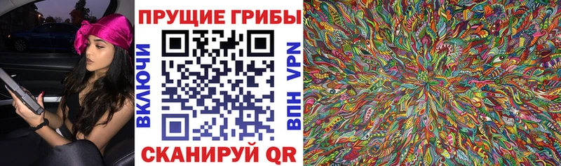 Галлюциногенные грибы Cubensis Геленджик