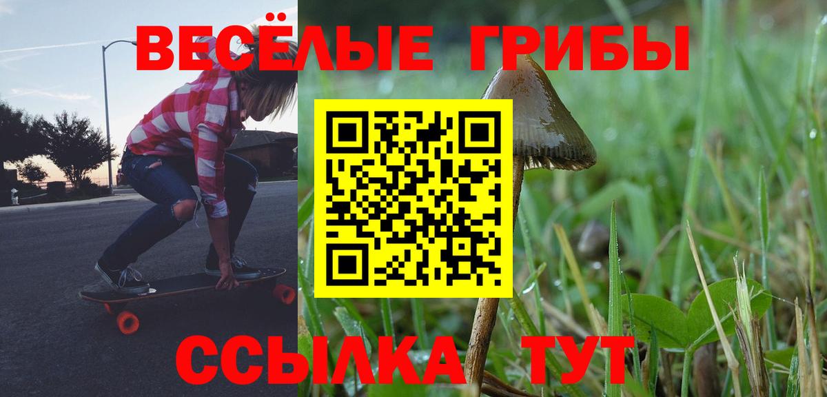 Геленджик  Псилоцибиновые грибы мицелий  купить наркоту  Вход с VPN 