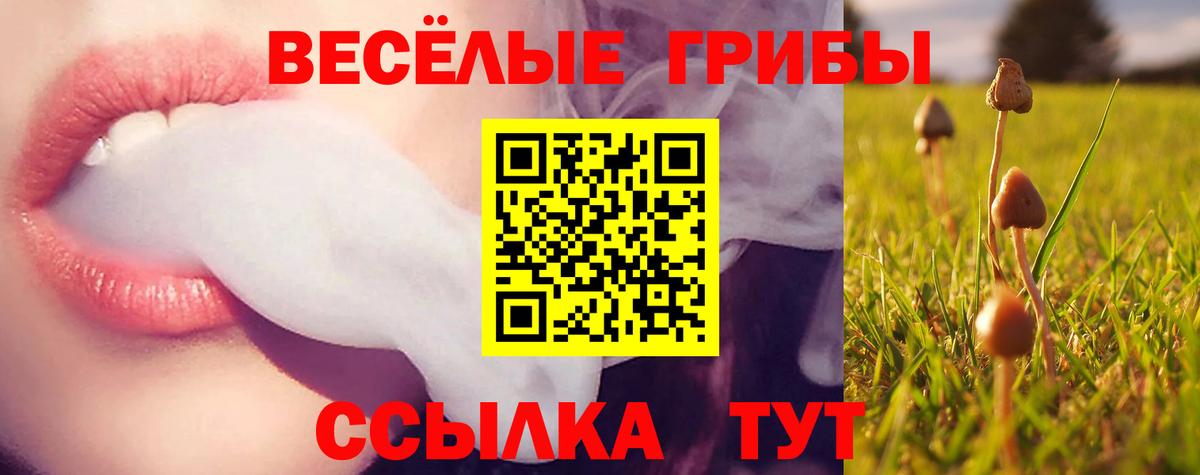Галлюциногенные грибы мицелий Геленджик